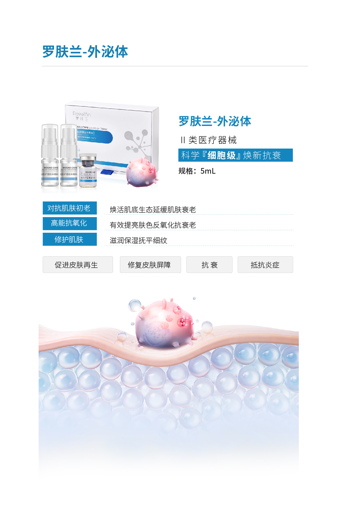 外泌体.jpg