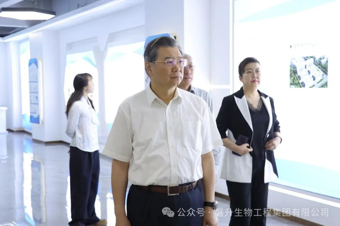 浙江省政协考察组莅临磐升集团调研，共话侨胞优势，赋能开放强省建设​