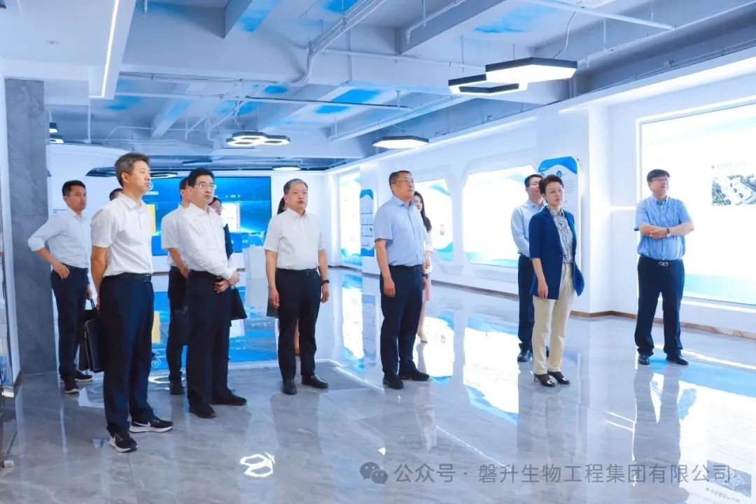 山东省副省长王桂英一行莅临磐升集团调研指导