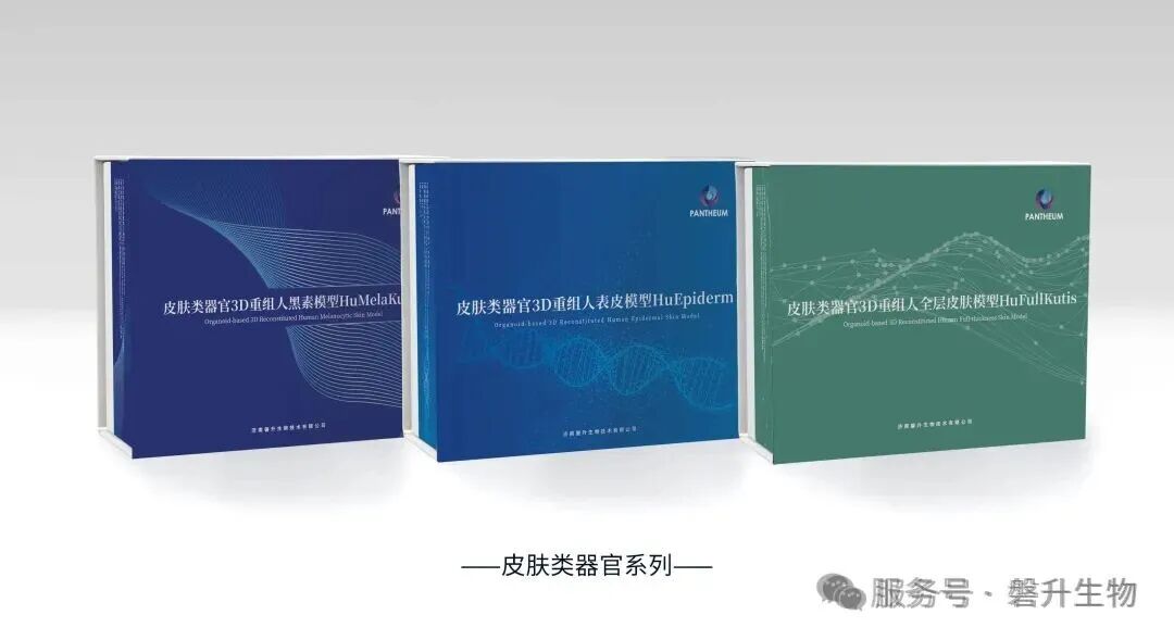 十五五规划定调!类器官与器官芯片首入国家五年规划,构筑生物医药创新底座